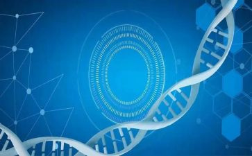 2024年医学生个人总结最新5篇