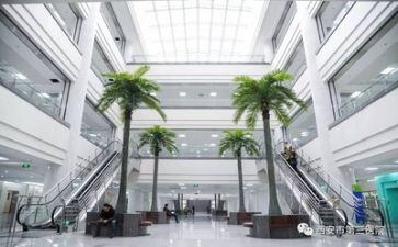 医院出纳年度工作总结5篇
