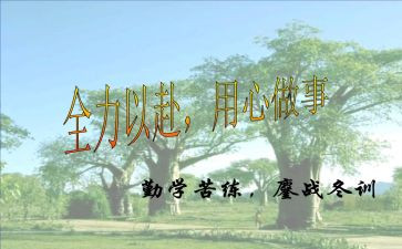 白板使用心得8篇