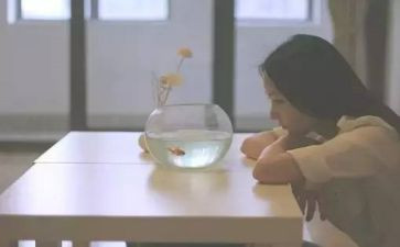优点作文参考8篇