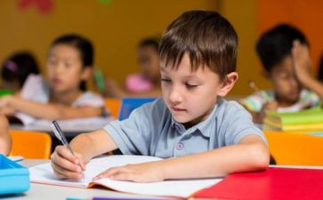 2024幼儿园副园长述职报告最新6篇