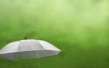 下雨时的作文400字作文8篇