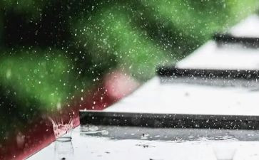 雨的作文演讲稿通用5篇
