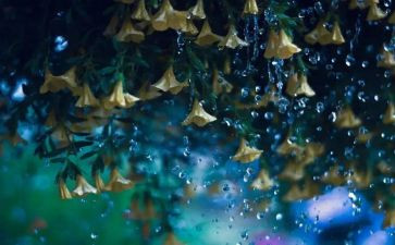 读雷雨书读后感推荐6篇