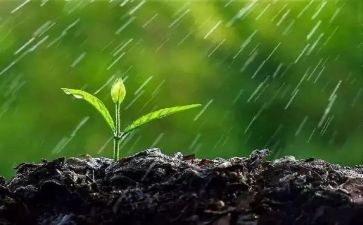 中秋的雨作文500字作文模板6篇