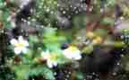雨来的读后感500字精选7篇