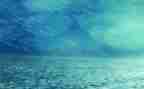 描写雨的作文300字最新6篇