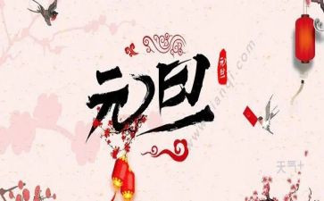 元旦作文800字作文5篇