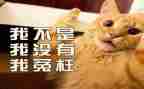 被冤枉的作文7篇