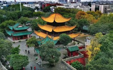 登岳阳楼读后感500字7篇