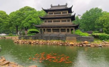 登岳阳楼记读后感5篇