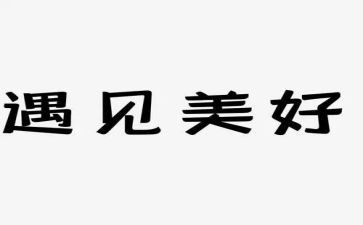 我遇见书作文初中作文最新8篇