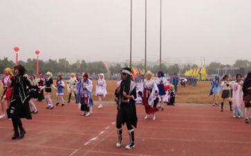 2024年东京奥运会开幕式心得体会8篇