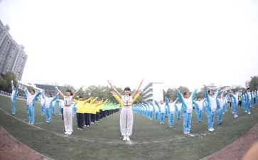 看奥运会作文2024600字通用6篇