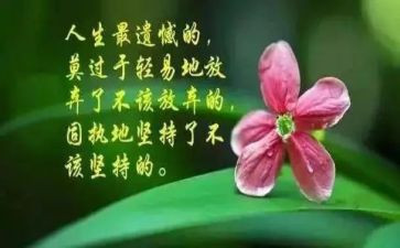 人生哲理作文精选8篇