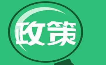 教师“双减”政策心得体会优质8篇