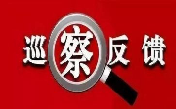 财务审计整改报告模板6篇