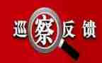 财务审计整改报告模板6篇