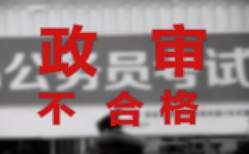 等政审工作总结5篇