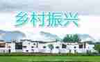 乡村振兴类调研报告推荐6篇