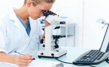 年度技术质量工作计划6篇