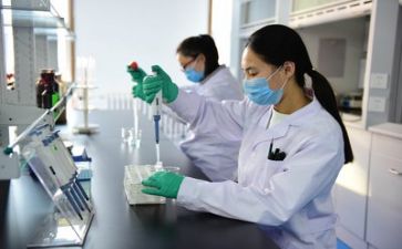 2023安全质量工作总结7篇
