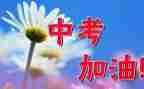 考试前考试中考试后作文6篇