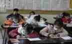 小学中年级教研组工作计划最新5篇