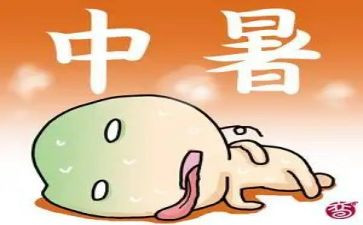 高中暑假实践报告7篇