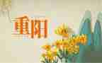 重阳节作文600字推荐6篇