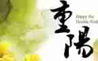 大班重阳节活动总结7篇