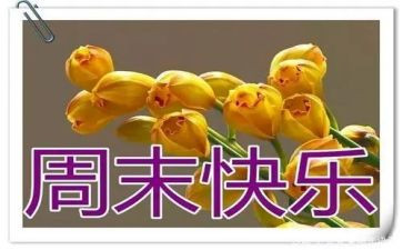 快乐周末作文400字最新8篇