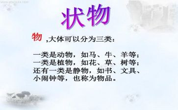状物的优秀作文8篇