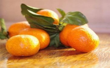 小班科学教案橘子教案8篇