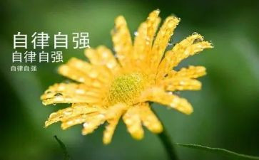 自强自立的心得体会7篇