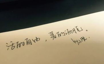 自由的教案8篇