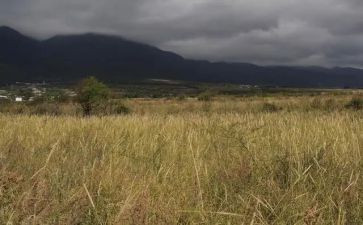 房屋租赁房屋合同模板6篇