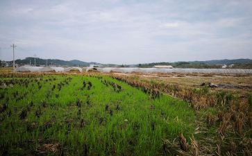 租赁房屋合同模板通用8篇