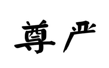 论尊严作文600字5篇